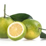 ส้มเช้ง