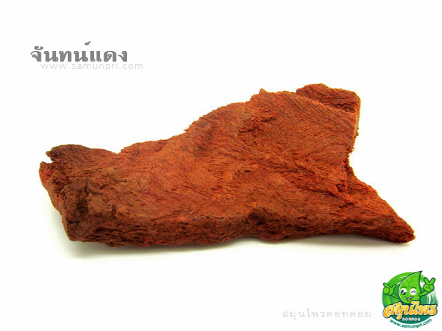 ผลการค้นหารูปภาพสำหรับ จันทน์แดง