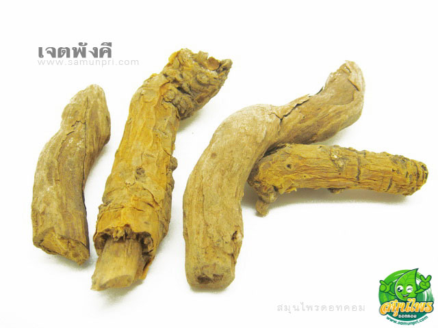 เจตพังคี