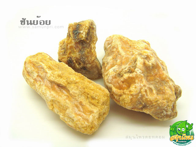 ชันย้อย